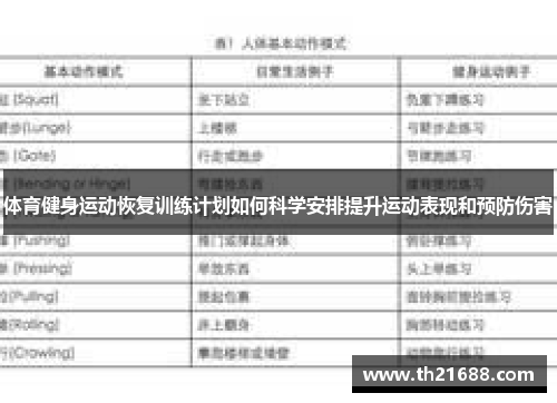 体育健身运动恢复训练计划如何科学安排提升运动表现和预防伤害