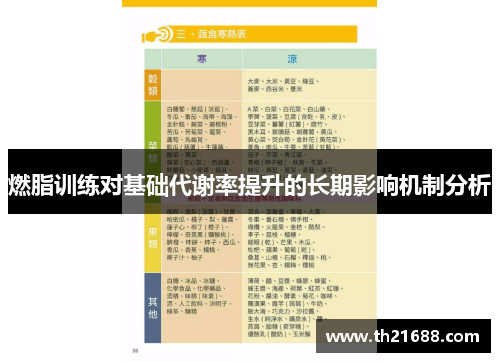 燃脂训练对基础代谢率提升的长期影响机制分析