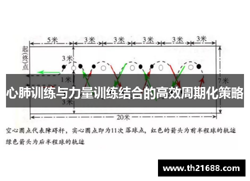心肺训练与力量训练结合的高效周期化策略